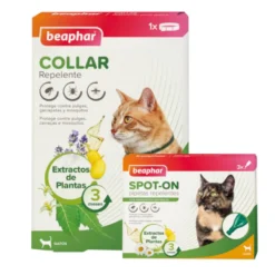 Pack Beaphar Collar y Pipetas repelentes para gatos