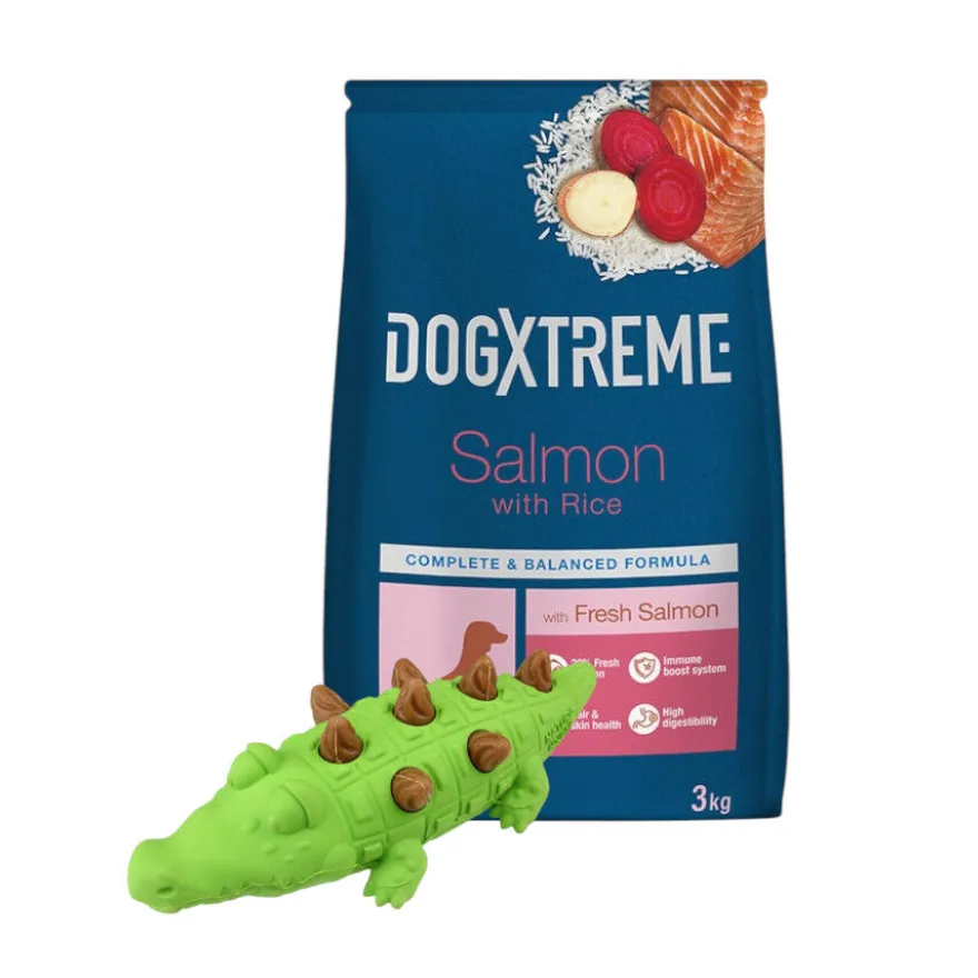 Pack Juguete Mordedor Tootoy! + 3 kg Pienso Dogxtreme Adult Mini Salmón para perros