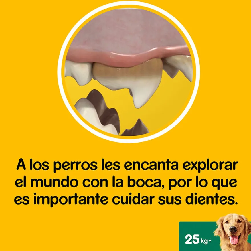 Pedigree Dentastix Snacks Dentales para perros grandes