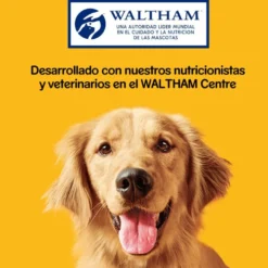 Pedigree Galletas Biscrok de 3 Sabores para Perros