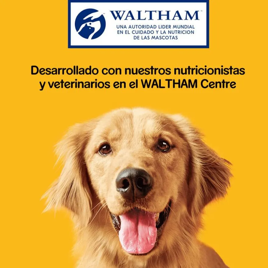 Pedigree Markies Galletas para perros
