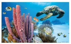 Penn-Plax Fondo Marino para Decoración de acuarios en 3D