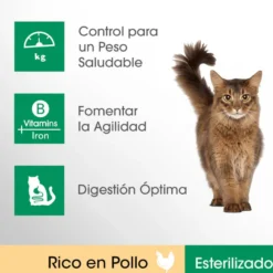 Perfect Fit Adult 1+ Esterilizado Pollo pienso para gatos