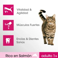 Perfect Fit Adult 1+ Esterilizado Salmón pienso para gatos