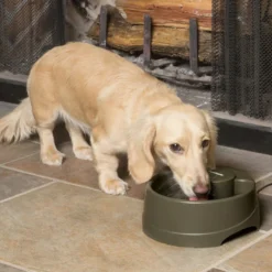 Petsafe Drinkwell Bebedero Automático para perros y gatos