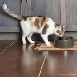 Petsafe Drinkwell Bebedero Automático para perros y gatos