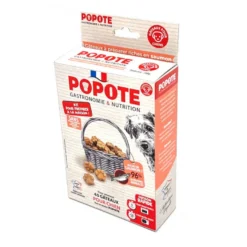POPOTE Kit Galletas Caseras Salmón para perros