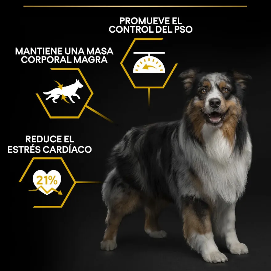 Pro Plan Adult All Sizes Light/Sterilised Pescado Blanco pienso para perros