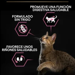 Pro Plan Adult Delicate Digestion pavo pienso para gatos