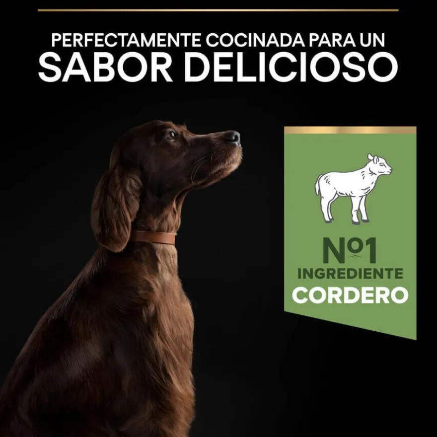 Pro Plan Adult Large Athletic Digestión Cordero pienso para perros