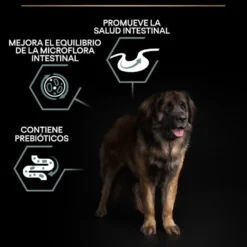 Pro Plan Adult Large Robust Digestión Cordero pienso para perros