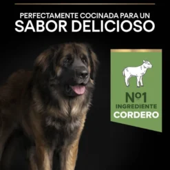Pro Plan Adult Large Robust Digestión Cordero pienso para perros