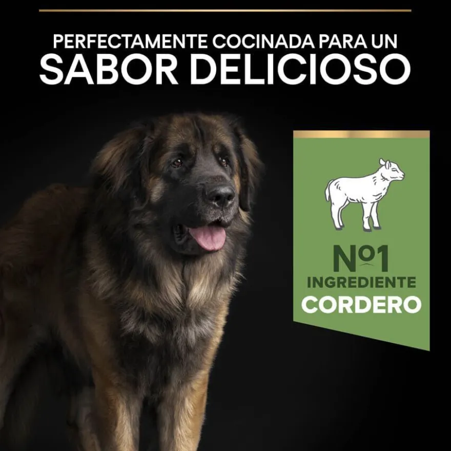 Pro Plan Adult Large Robust Digestión Cordero pienso para perros