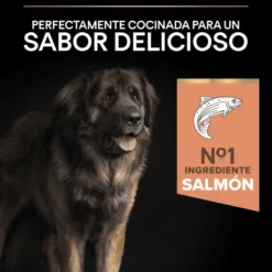 Pro Plan Adult Large Robust Salmón pienso para perros Piel Sensible