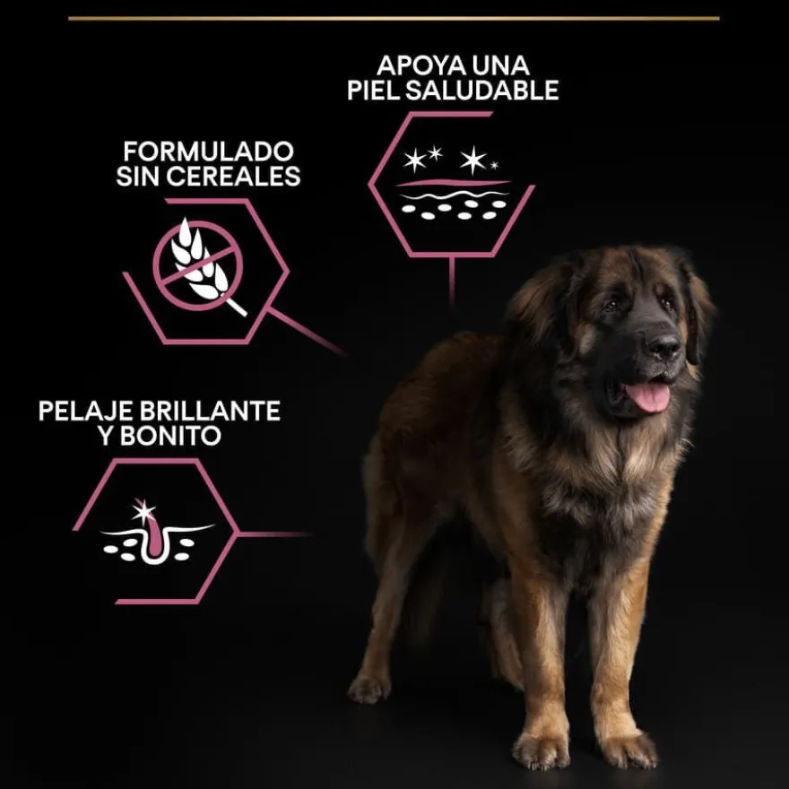 Pro Plan Adult Large Robust Salmón pienso para perros Piel Sensible