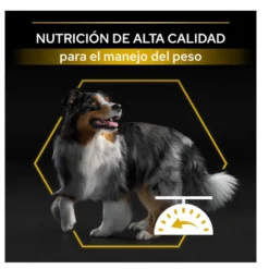 Pro Plan Adult Light/Sterilised Pollo pienso para perros