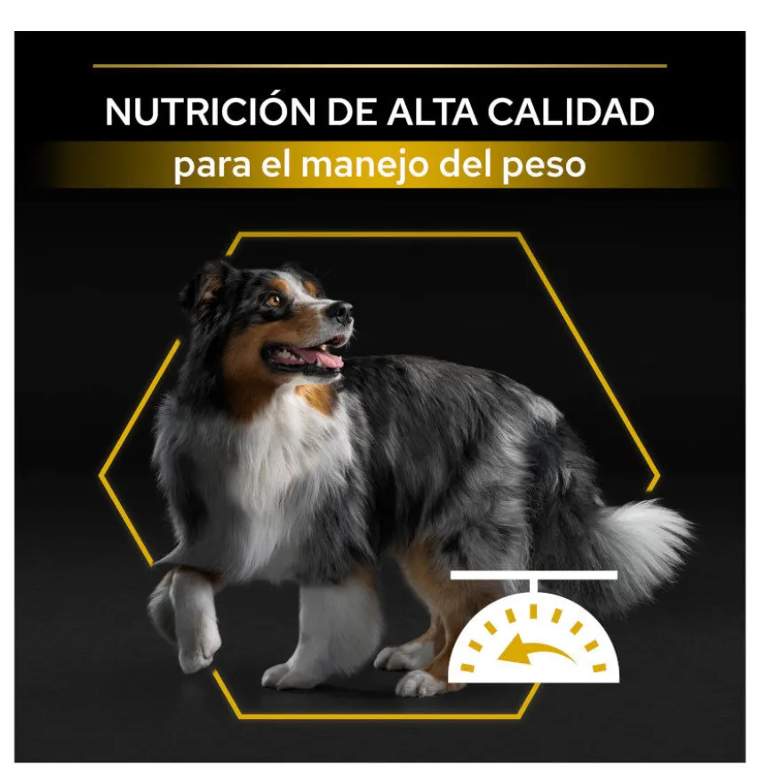 Pro Plan Adult Light/Sterilised Pollo pienso para perros