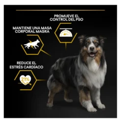 Pro Plan Adult Light/Sterilised Pollo pienso para perros