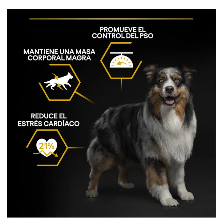 Pro Plan Adult Light/Sterilised Pollo pienso para perros