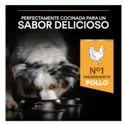 Pro Plan Adult Light/Sterilised Pollo pienso para perros