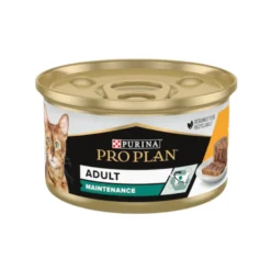 Pro Plan Adult Maintenance Terrina rico en pollo para gatos