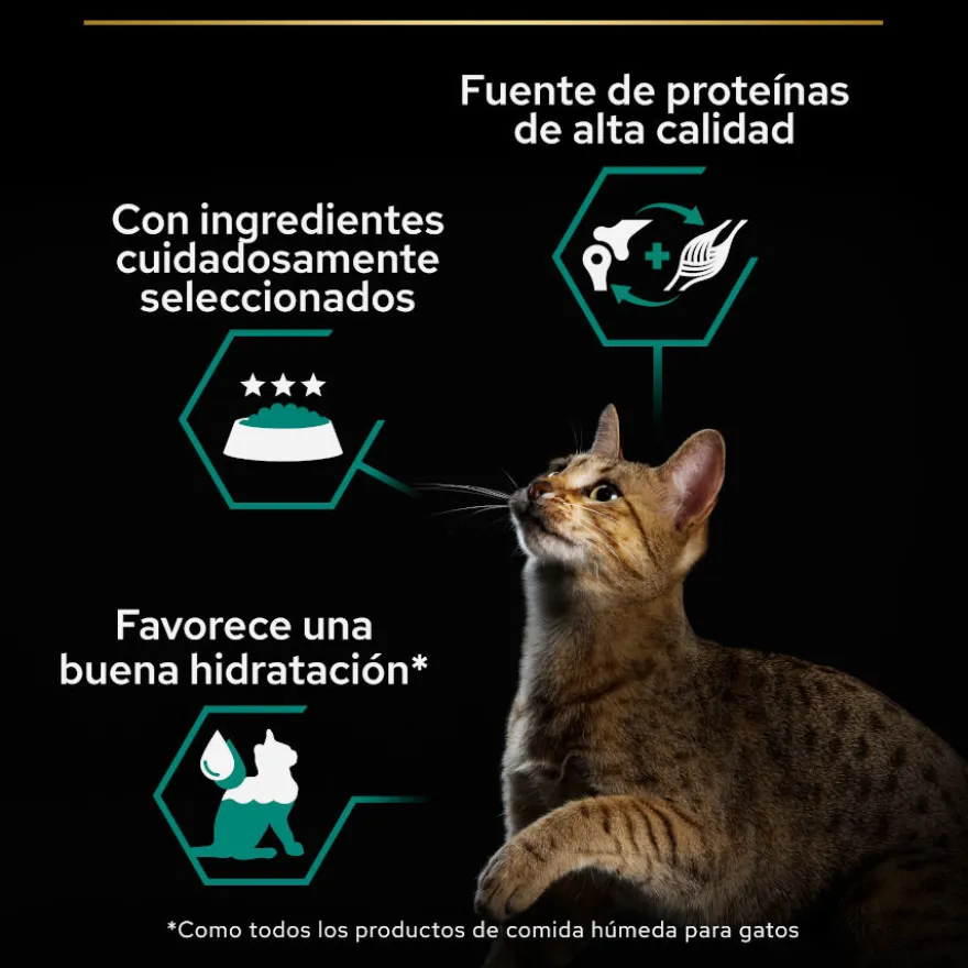 Pro Plan Adult Maintenance Terrina rico en pollo para gatos