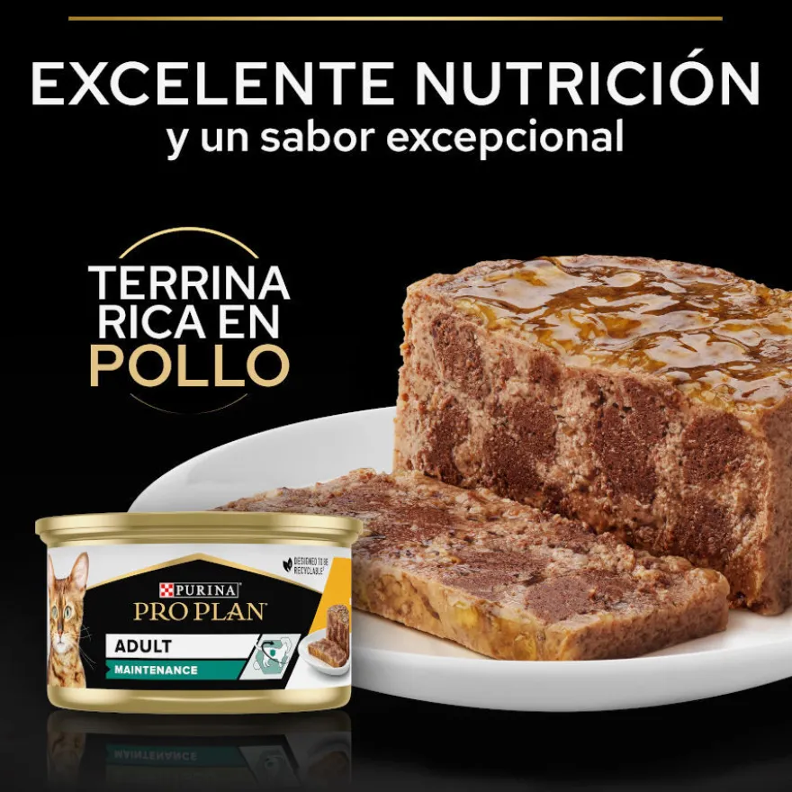 Pro Plan Adult Maintenance Terrina rico en pollo para gatos