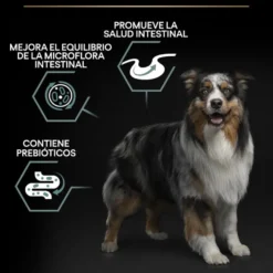 Pro Plan Adult Medium Digestión Cordero pienso para perros