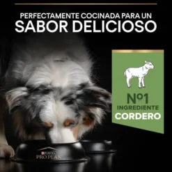 Pro Plan Adult Medium Digestión Cordero pienso para perros