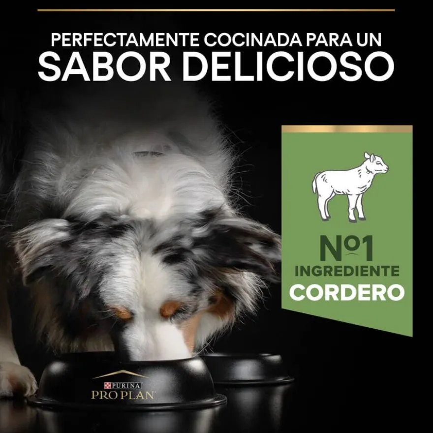 Pro Plan Adult Medium Digestión Cordero pienso para perros