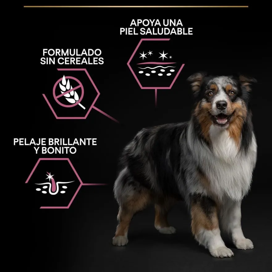 Pro Plan Adult Medium Sensitive Skin Salmón pienso para perros