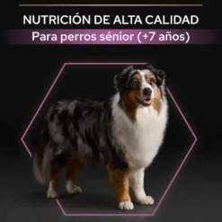 Pro Plan Adult Medium y Large Pollo pienso para perros Sénior +7