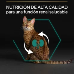 Pro Plan Adult Renal Plus Pollo Pienso para gatos