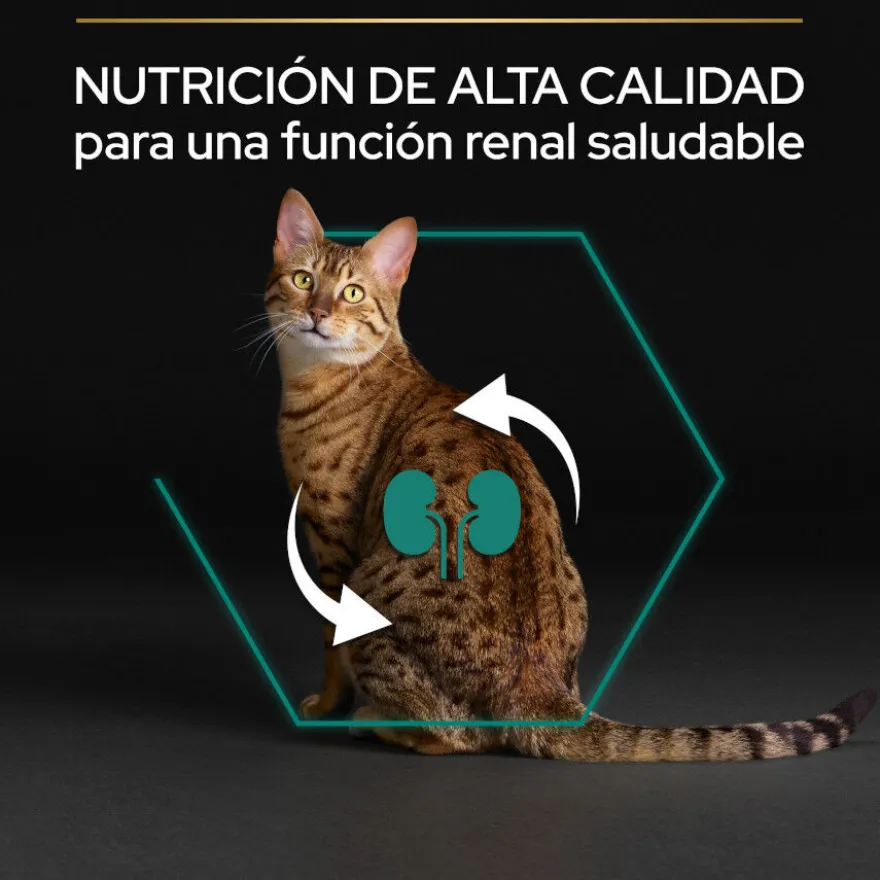 Pro Plan Adult Renal Plus Pollo Pienso para gatos