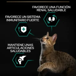 Pro Plan Adult Renal Plus Pollo Pienso para gatos