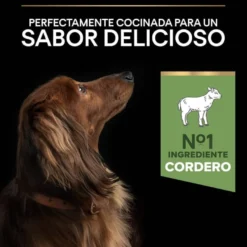 Pro Plan Adult Small y Mini Digestión Cordero pienso para perros