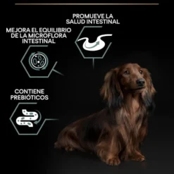 Pro Plan Adult Small y Mini Digestión Cordero pienso para perros
