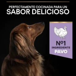 Pro Plan Adult Small y Mini Digestión Pavo pienso para perros