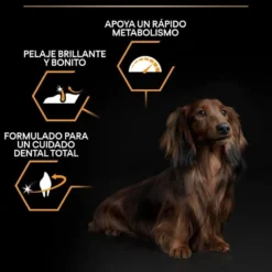 Pro Plan Adult Small y Mini Pollo pienso para perros