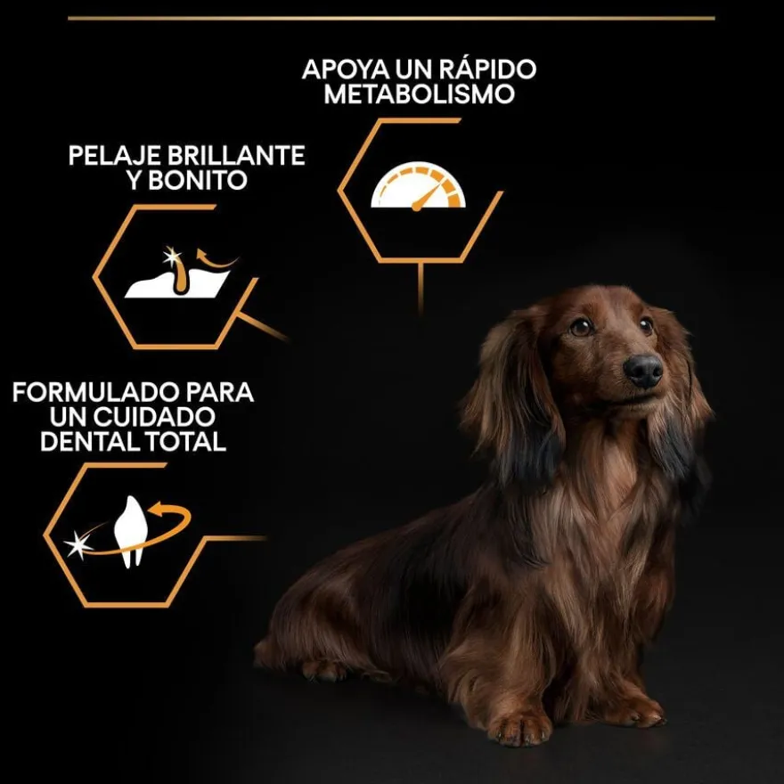 Pro Plan Adult Small y Mini Pollo pienso para perros