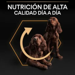 Pro Plan Adult Small y Mini Pollo pienso para perros