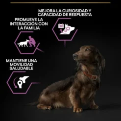 Pro Plan Adult Small y Mini Pollo pienso para perros Sénior +9