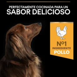 Pro Plan Adult Small y Mini Pollo pienso para perros Sénior +9