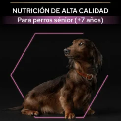Pro Plan Adult Small y Mini Pollo pienso para perros Sénior +9