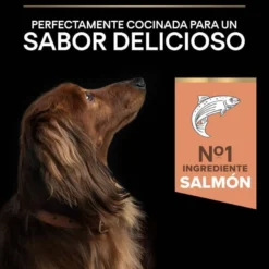 Pro Plan Adult Small y Mini Salmón Sensitive Skin pienso para perros