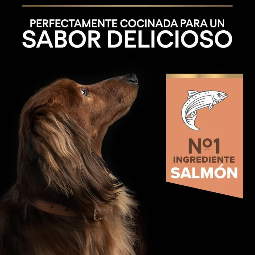 Pro Plan Adult Small y Mini Salmón Sensitive Skin pienso para perros