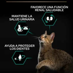 Pro Plan Adult Sterilized Pavo Pienso para gatos