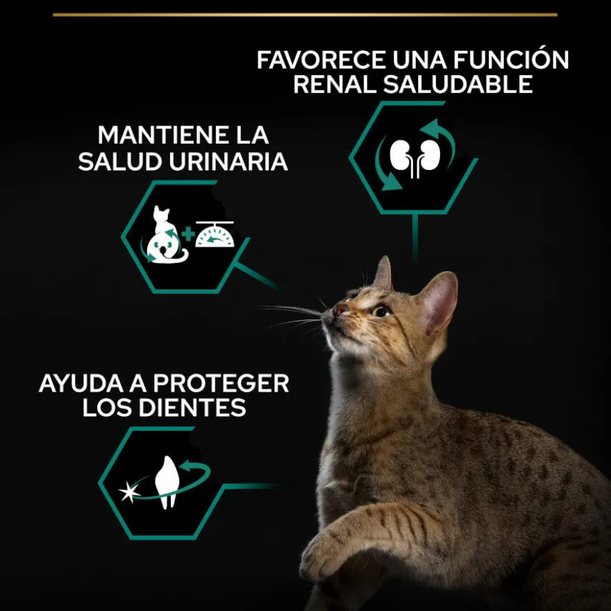 Pro Plan Adult Sterilized Pavo Pienso para gatos