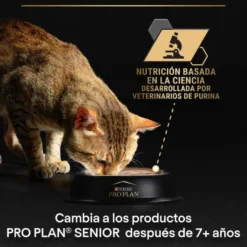 Pro Plan Delicate Digestion con Pavo en Salsa para gatos