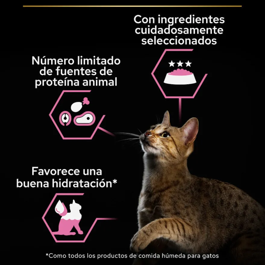 Pro Plan Delicate Mousse rico en pavo para gatos